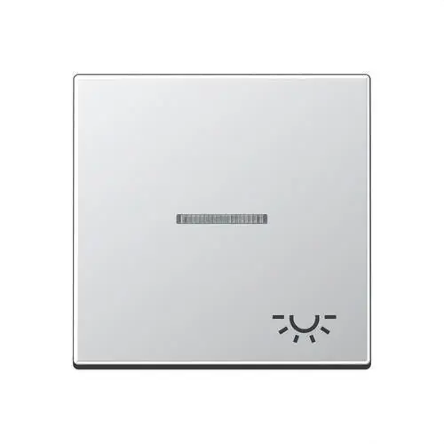 TECLA SIMPLE VISOR SÍMBOLO LUZ ALUMINIO Precio Económico