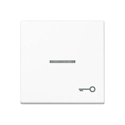 TECLA SIMPLE VISOR SÍMBOLO PUERTA BLANCO ALPINO Entrega Rápida