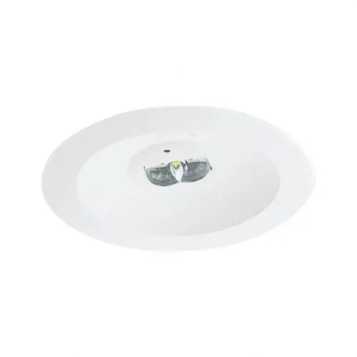 Envío Inmediato LUMERG.SPAZIO R AUTT.(ZX)250lm LENTE PASILLO TIPO P/NP 1h AUTON.